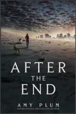after-the-end